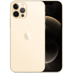 iPhone 12 Pro 128GB Gold (Nieuwe accu)